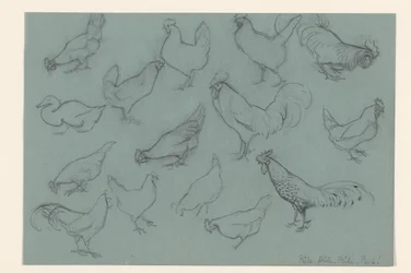 Ficha de estudio con aves de corral