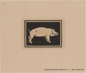 Cerdo