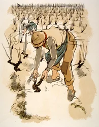Ilustración humorística del vino 1946.Ilustración de Julien Pavil