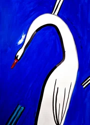 El elegante cisne blanco