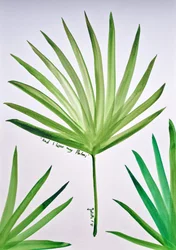 Hoja de palmera tropical