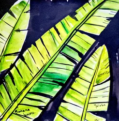 Hojas de plátano de colores vivos