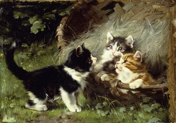 ¿Hay espacio en la cesta? Julius Adam