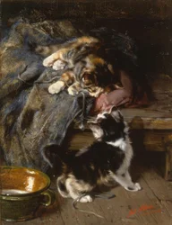 Gatitos jugando