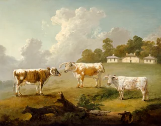 Tres vacas de cuernos largos en un paisaje (óleo sobre lienzo)