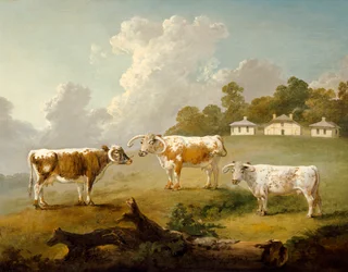 Tres Ganados de Cuernos Largos en Kenwood, 1797
