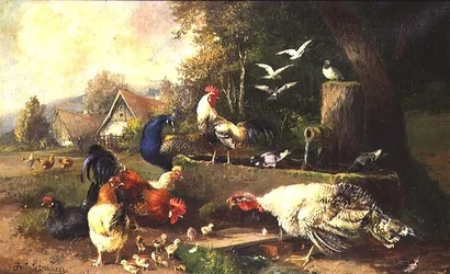 Aves de corral junto a una bomba