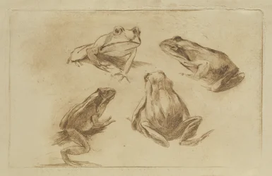 Ranas