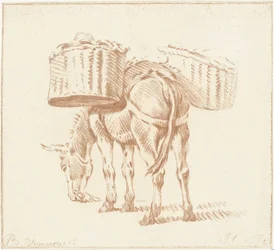 burro cargado