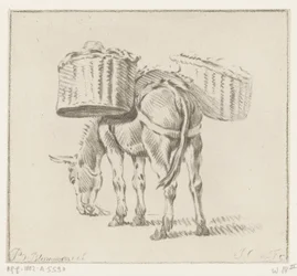 burro cargado