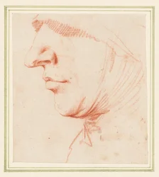 La cabeza de un hombre de perfil