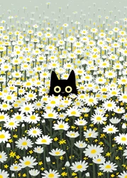 Gato negro en un prado de margaritas
