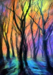 Luces del Bosque Encantado