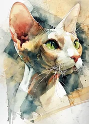 Gato Sphynx de ojos verdes