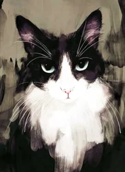 Miradas intensas de gato