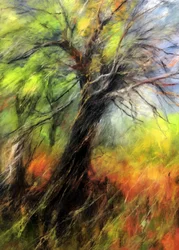 Árbol otoñal lleno de colorido