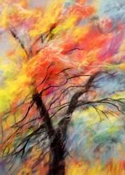 Árbol otoñal lleno de colorido