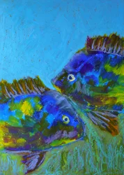 Peces tropicales vibrantes