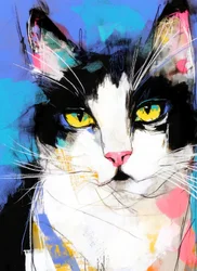 Gato «Tuxedo» de colores vivos