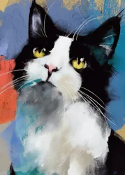 Gato «Tuxedo» de colores vivos