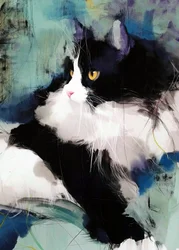 Retrato de un gato «Tuxedo» lleno de vida