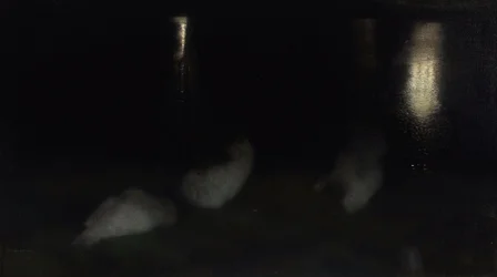 Nocturno. Cisnes en el Jardín Sajón en Varsovia por la noche