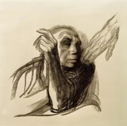 Käthe Kollwitz, llamada de la muerte