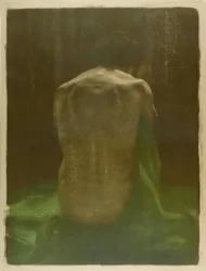 Desnudo femenino de espaldas sobre tela verde