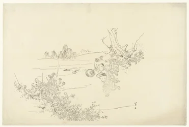 atrapando mariposas