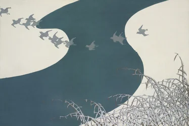 Aves de Momoyogusa