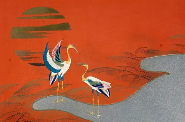 Aves al atardecer en el lago