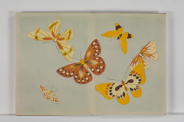 Chō senshu (Mil tipos de mariposas), Volumen 1