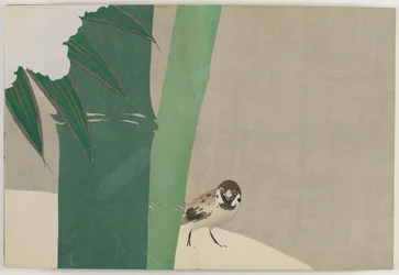 Flowers of a Hundred Worlds (Momoyogusa): Bamboo in Snow (Secchuchiku)