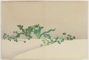 Flowers of a Hundred Worlds (Momoyogusa): Seven Herbs of Early Spring (Nanagusa)