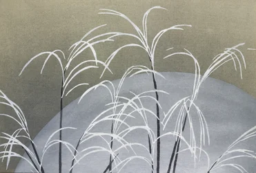 Frost, de Momoyogusa