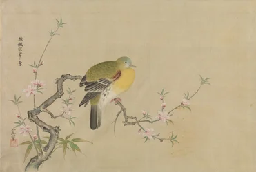 Álbum de copias de pinturas chinas, siglo XVII
