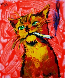 Un gato guay fumando