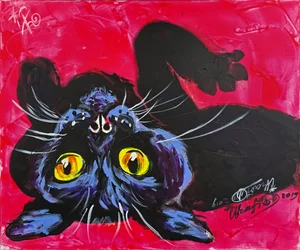 Gato negro curioso