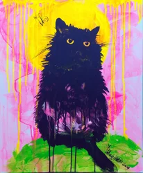 Gato negro místico