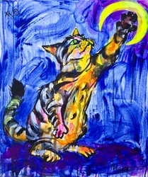 Gato juguetón y la luna