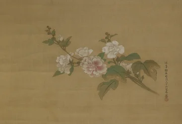 Una rama de hibisco en flor, Período Edo