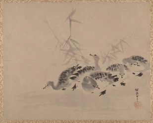 Patos y juncos, ca. 1650