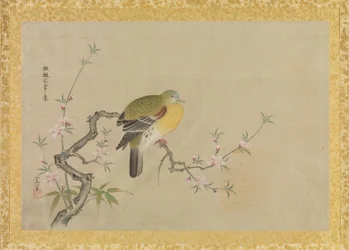 Álbum de copias de pinturas chinas, hoja de álbum