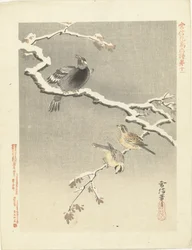 Tres pájaros en rama nevada Bocetos de flores y pájaros de Kano Tsunenobu (título de la serie) Kano Tsunenobu kacho gafu (título de la serie en el objeto)