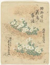 Índice Bocetos de flores y pájaros de Kano Tsunenobu (título de la serie) Kano Tsunenobu kacho gafu (título de la serie en el objeto)