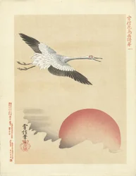 Grúa volando en luna roja Bocetos de flores y pájaros de Kano Tsunenobu (título de la serie) Kano Tsunenobu kacho gafu (título de la serie en el objeto)