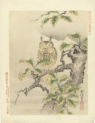 búho en rama Bocetos de flores y pájaros de Kano Tsunenobu (título de la serie) Kano Tsunenobu kacho gafu (título de la serie en el objeto)