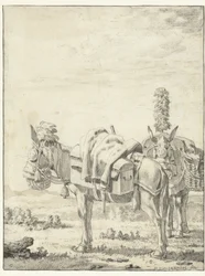 Dos mulas
