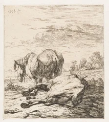 Dos caballos Animales (título de la serie)