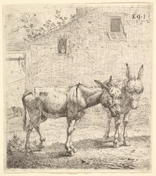 Dos burros de pie en un patio con hierba, uno en vista de perfil mirando a la derecha y otro detrás..., 1652